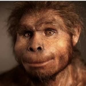 Meet your Posher, Jeff